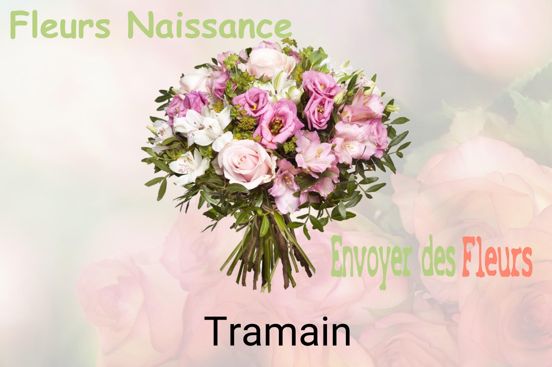 Bouquet de fleurs de naissance livré à Tramain