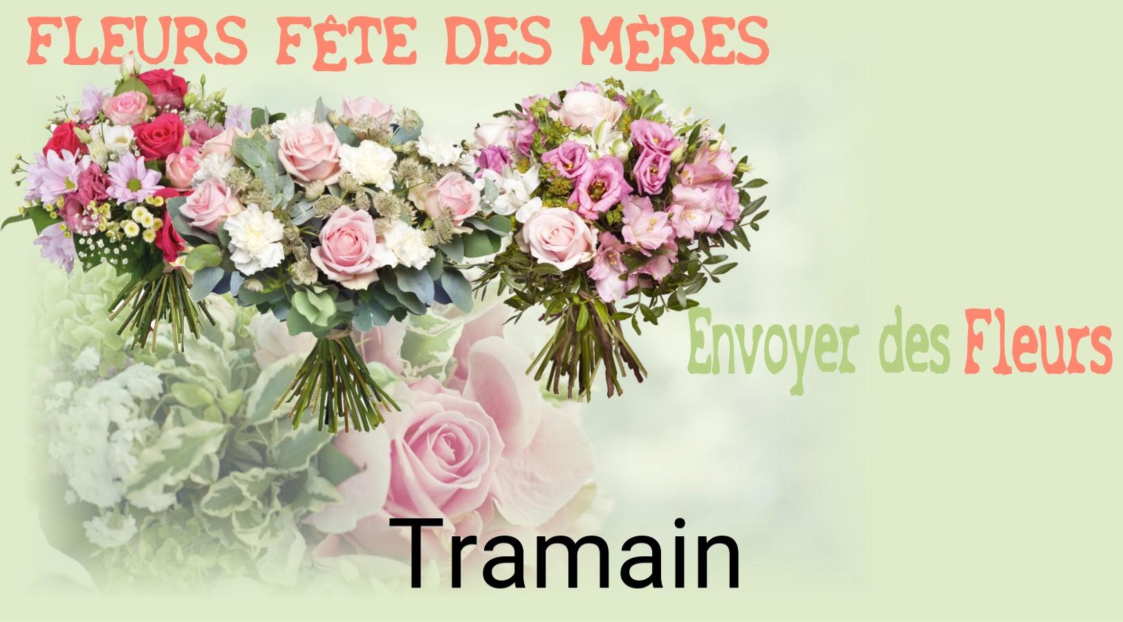 Bouquet de Fête des Mères livré à Tramain